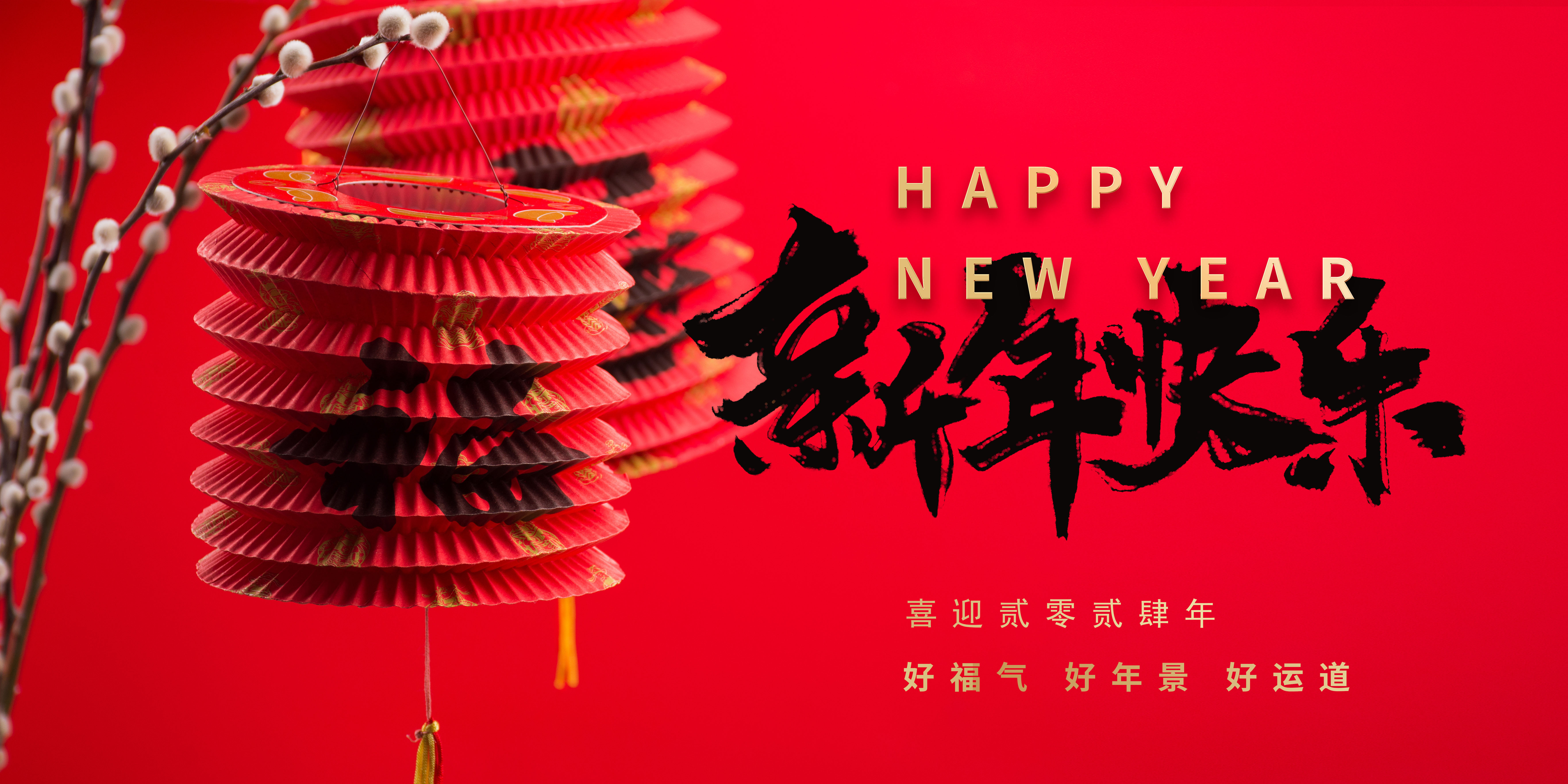 jch金彩汇祝大家：龙行龖龘、前程朤朤